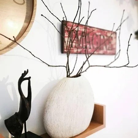 Cocon - 2pers - Parking - Aeroport - Meet Διαμέρισμα Μπλανιάκ