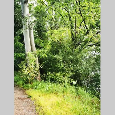 Apartment Cocon - 2pers - Parking - Aeroport - Meet