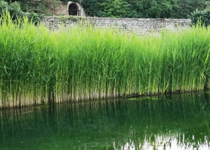 Cocon - 2pers - Parking - Aéroport - Meet Appartement *